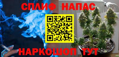 СК Бугуруслан