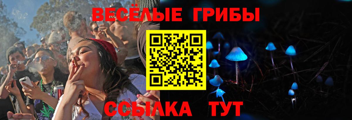 Псилоцибиновые грибы MAGIC MUSHROOMS Шадринск